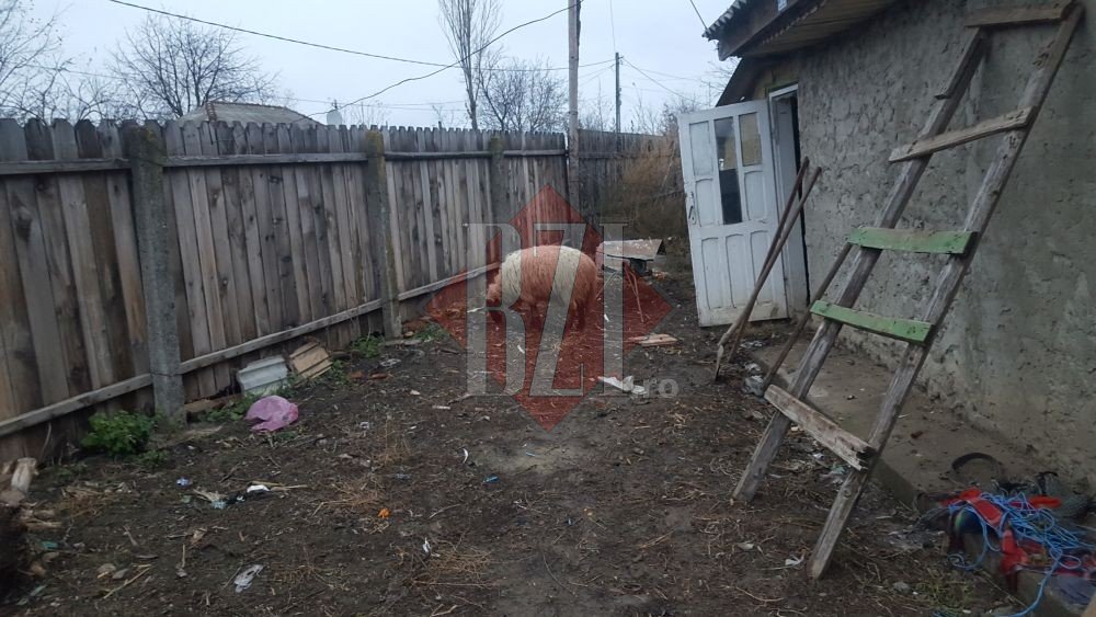 Fetița din Iași care este mamă la 11 ani pentru fratele ei. Copiii au fost abandonați de mamă