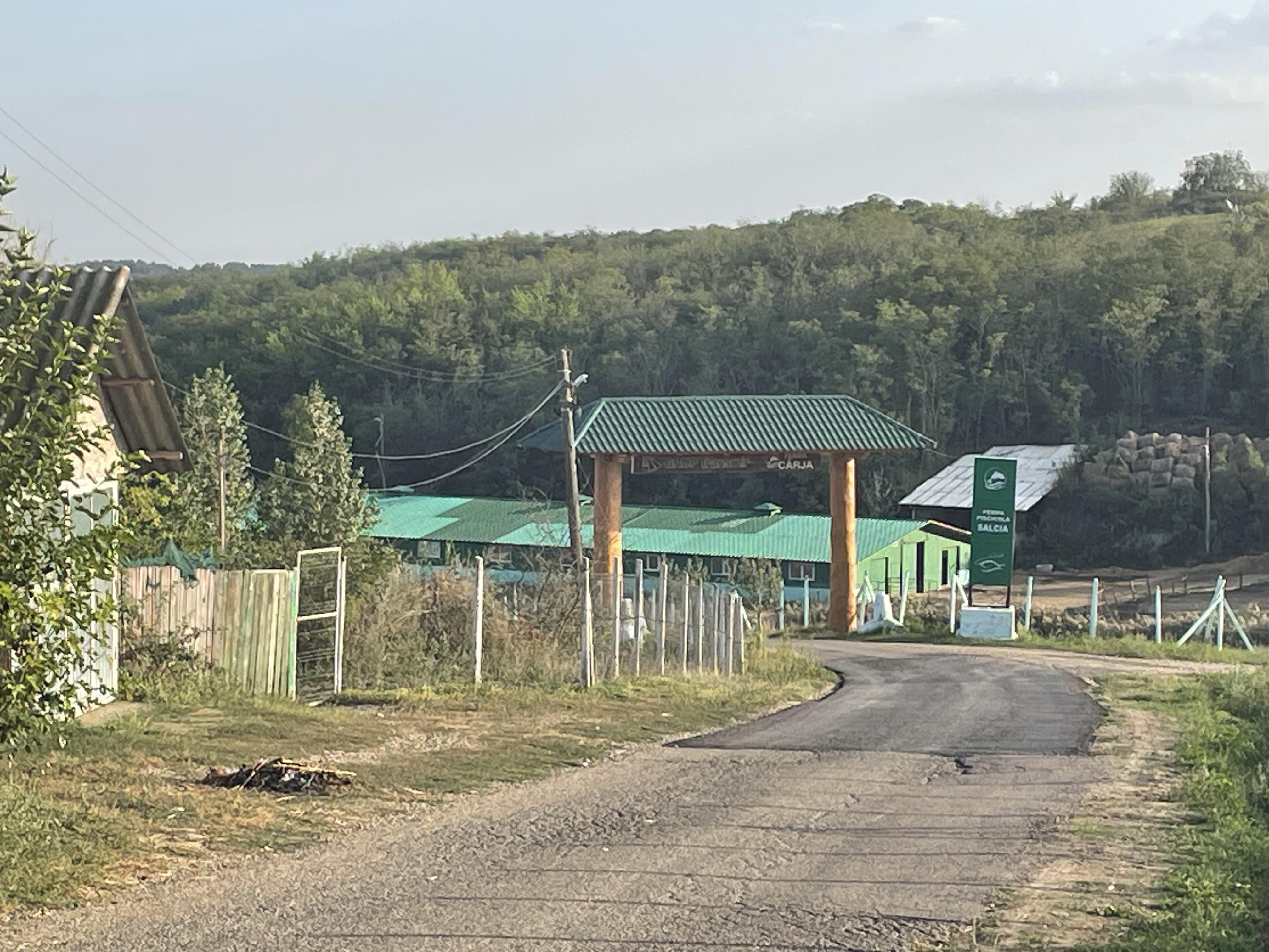 REPORTAJ PE BALTA CU BANI. Martorul care a surprins flagrantul DNA în cazul Buzatu: directorul economic de la DGASPC Vaslui „se tăvălea pe jos, mârâia, prefăcându-se că este beat”