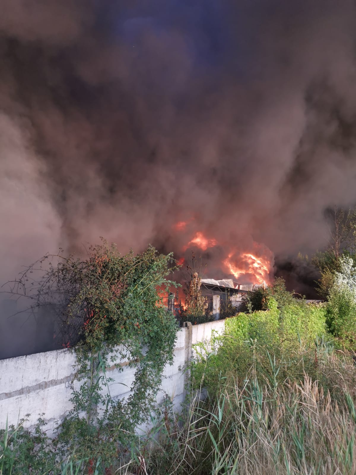 Mobilizare de forțe la incendiul de la Salonta. Zeci de pompieri se luptă cu flăcările de aproape 12 ore