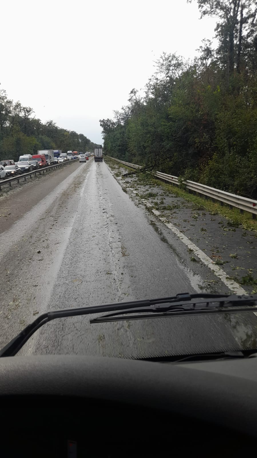 Urmările vijeliei care a făcut prăpăd în București și pe autostrada A1: o femeie a murit în Otopeni, mașini distruse de copaci, trafic îngreunat pe A1
