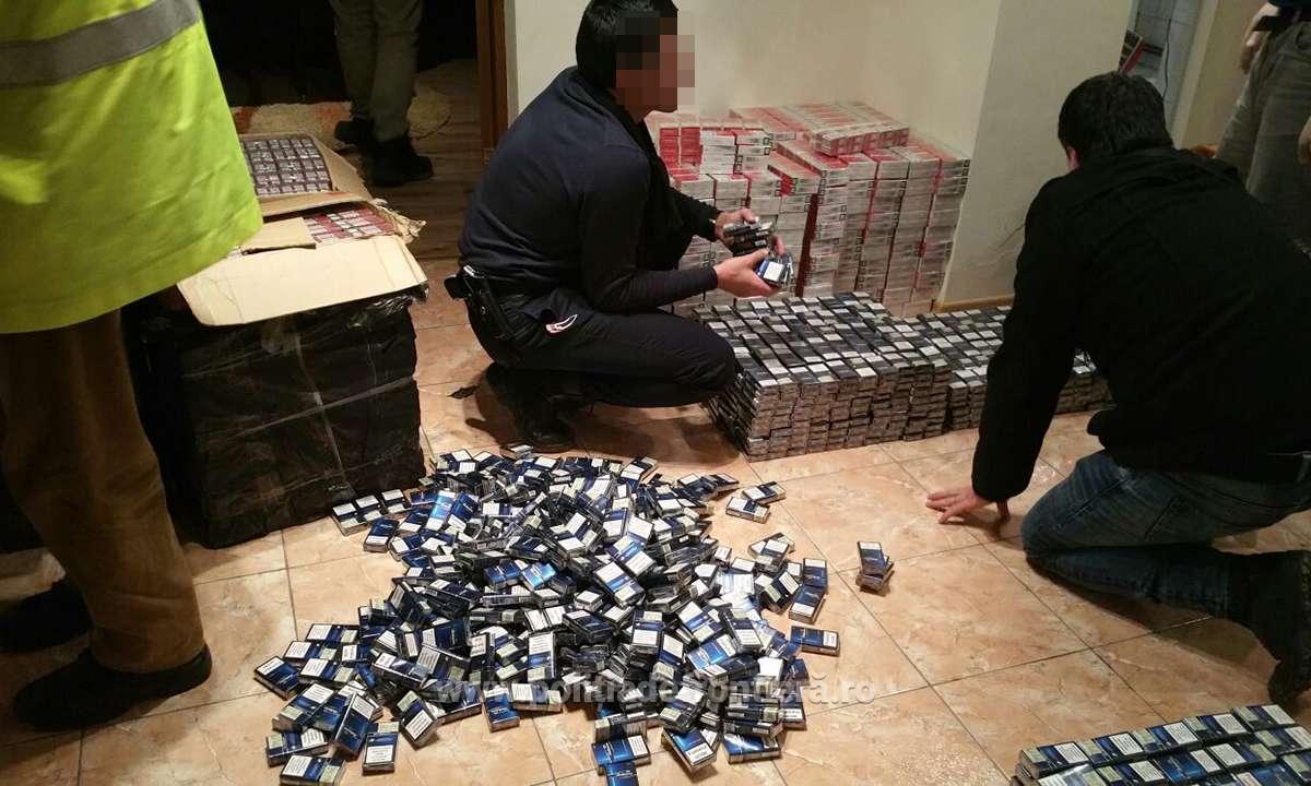 Averea îngropată în curtea unor contrabandiști de țigări din Constanța. Suma colosală a fost confiscată / FOTO&VIDEO
