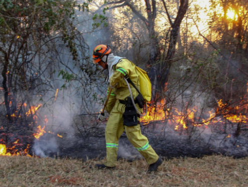 7 urgent actions to take if there is fire outbreak