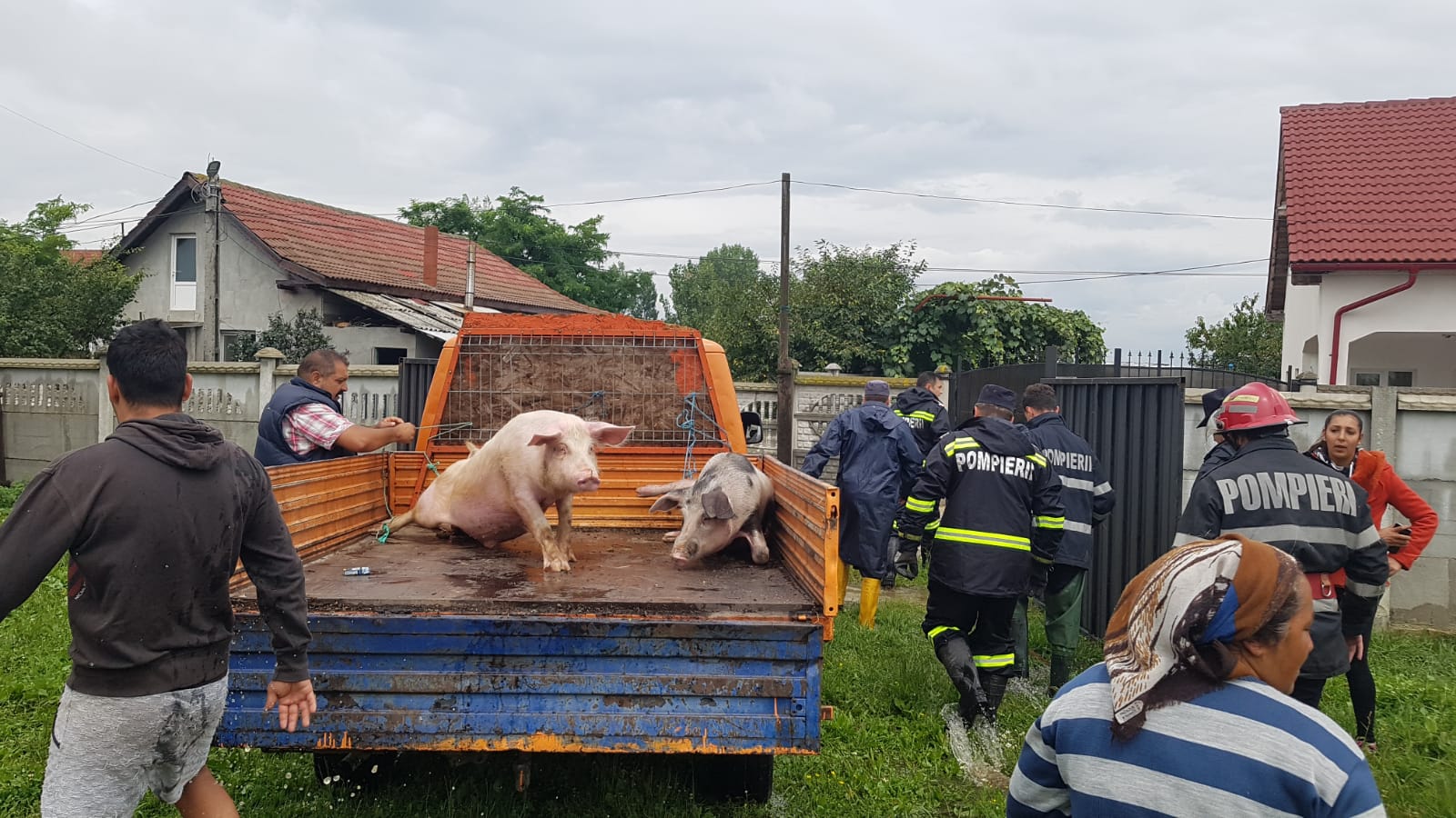 Aproape 70 de oameni au fost evacuați de jandarmi din case în Băbeni, Vâlcea. Râul Bistrița a ieșit din matcă / FOTO
