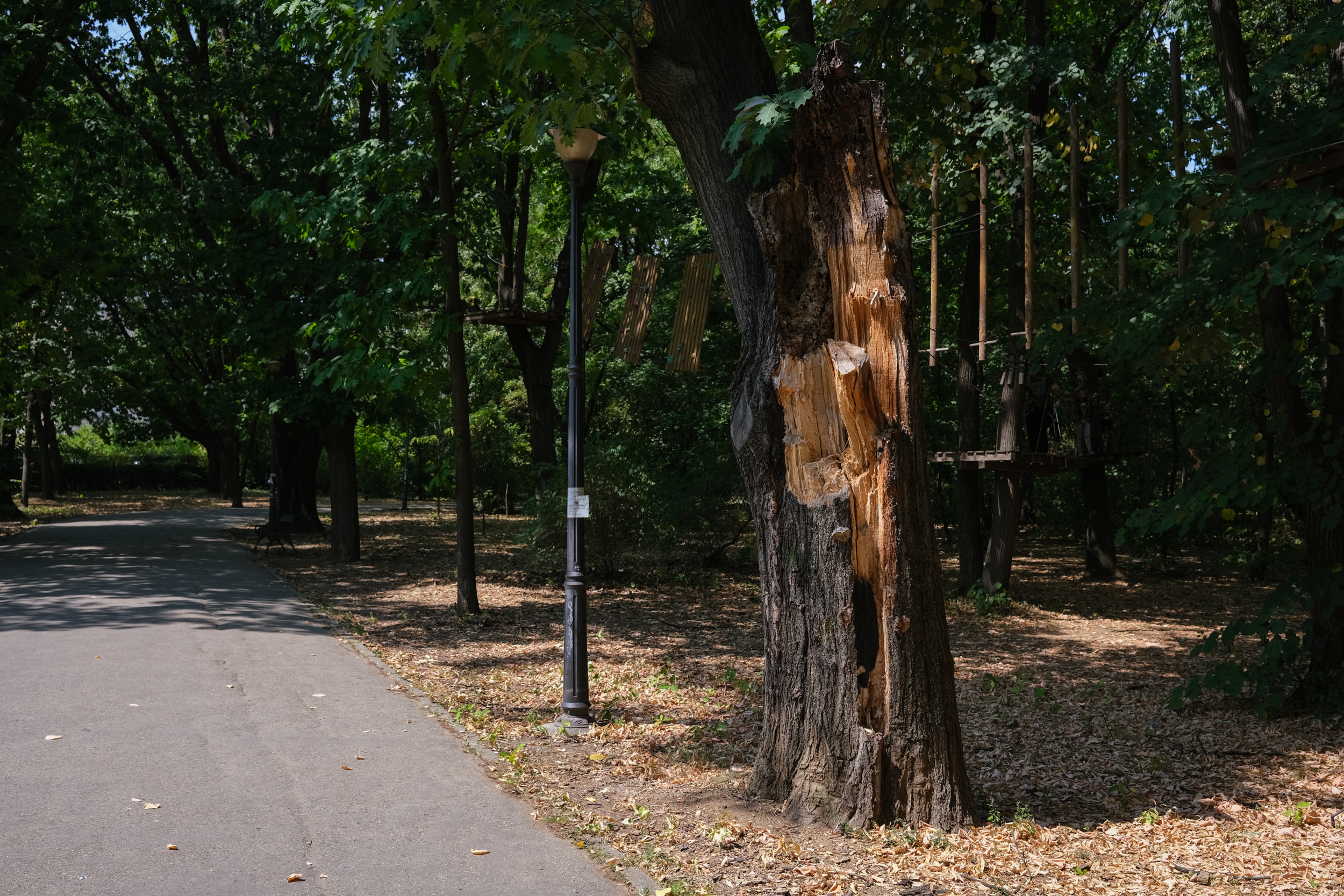 Parcul Herăstrău, degradarea continuă. Bănci rupte, iarbă lipsă, alei crăpate și arteziene fără apă