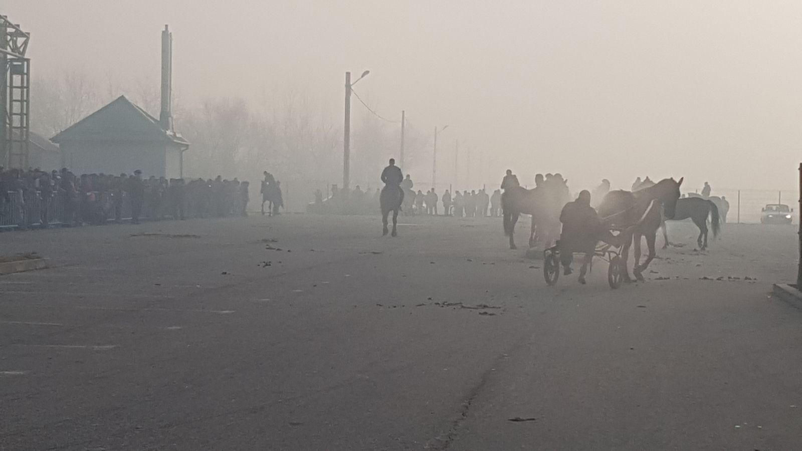 REPORTAJ: De Bobotează, caii din orașul lui Nea Mărin au fost stropiți cu agheasmă ca să nu se prindă blestemele de ei| FOTO
