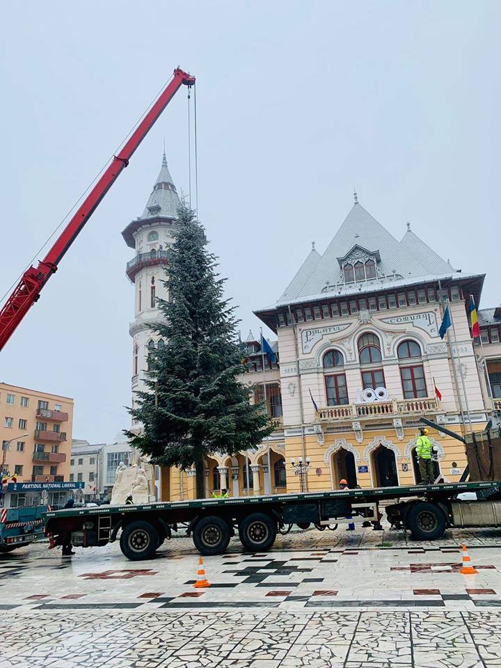 VIDEO&FOTO/ Bradul de Crăciun de la Buzău, donat de un localnic nevoit să-l taie: "Când s-au apropiat cu drujba de el, mi-au dat lacrimile"