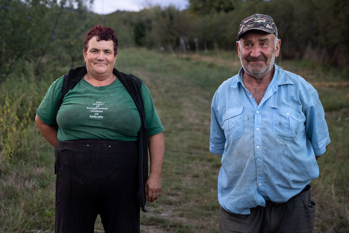Unde se duc prunele din Coca-Antimirești, Buzău, când se coc: „La porci. Cerbii mănâncă de trosnesc. Vin urșii, mistreții. N-avem unde vinde”