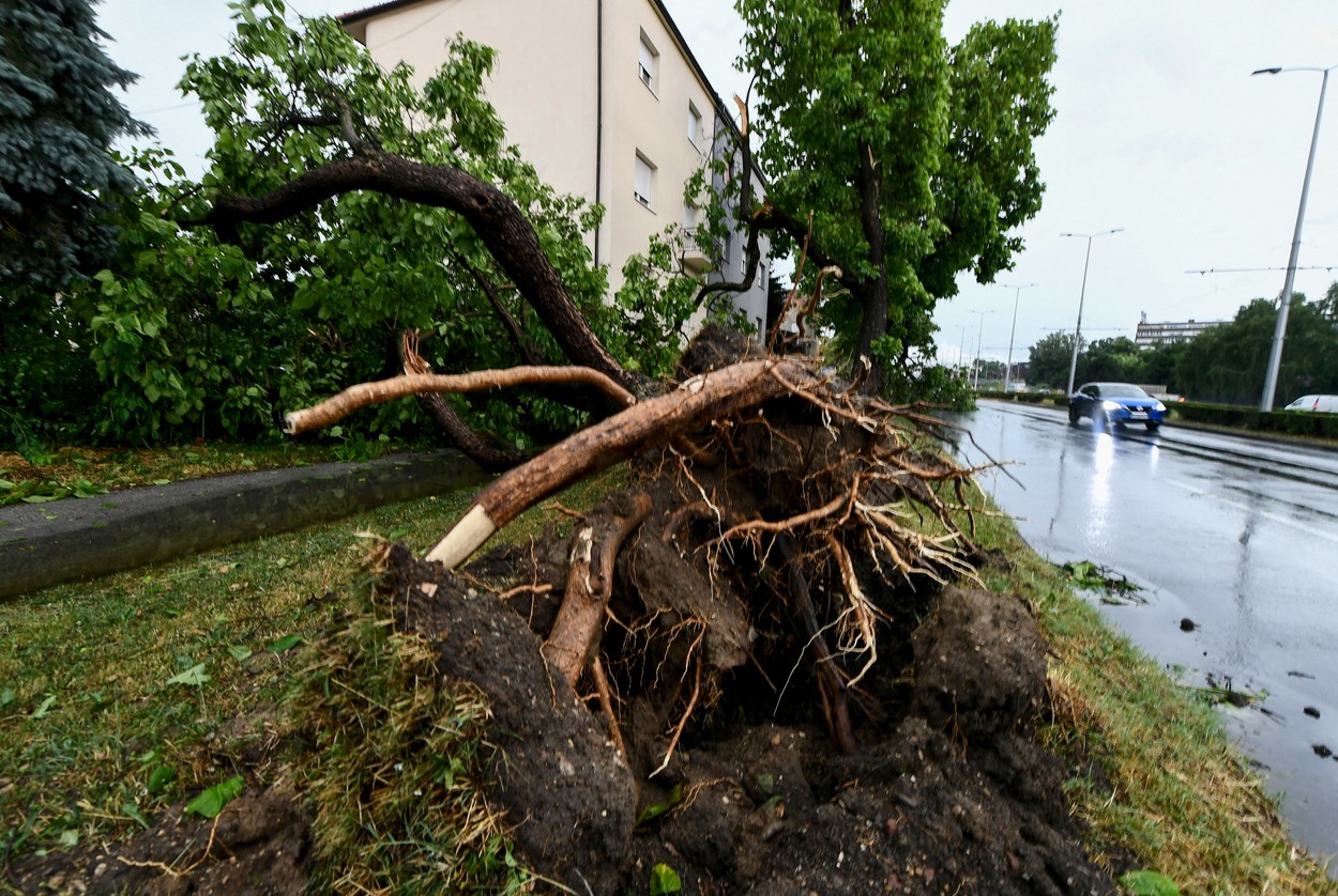 Furtună violentă în Croația. Trei oameni au murit. „Aproape că nu există stradă din Zagreb care să nu fi suferit consecințele vântului devastator”