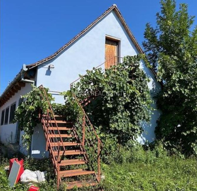 Cât costă o casă în Viscri, cel mai cunoscut sat din România? Proprietatea scoasă la vânzare în satul făcut cunoscut de regele Charles