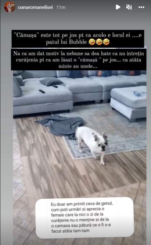 Oana Roman, criticată de fani pentru că nu păstrează curățenia: „Cămașa de pe jos nu o să dea bine”. Vedeta a răbufnit