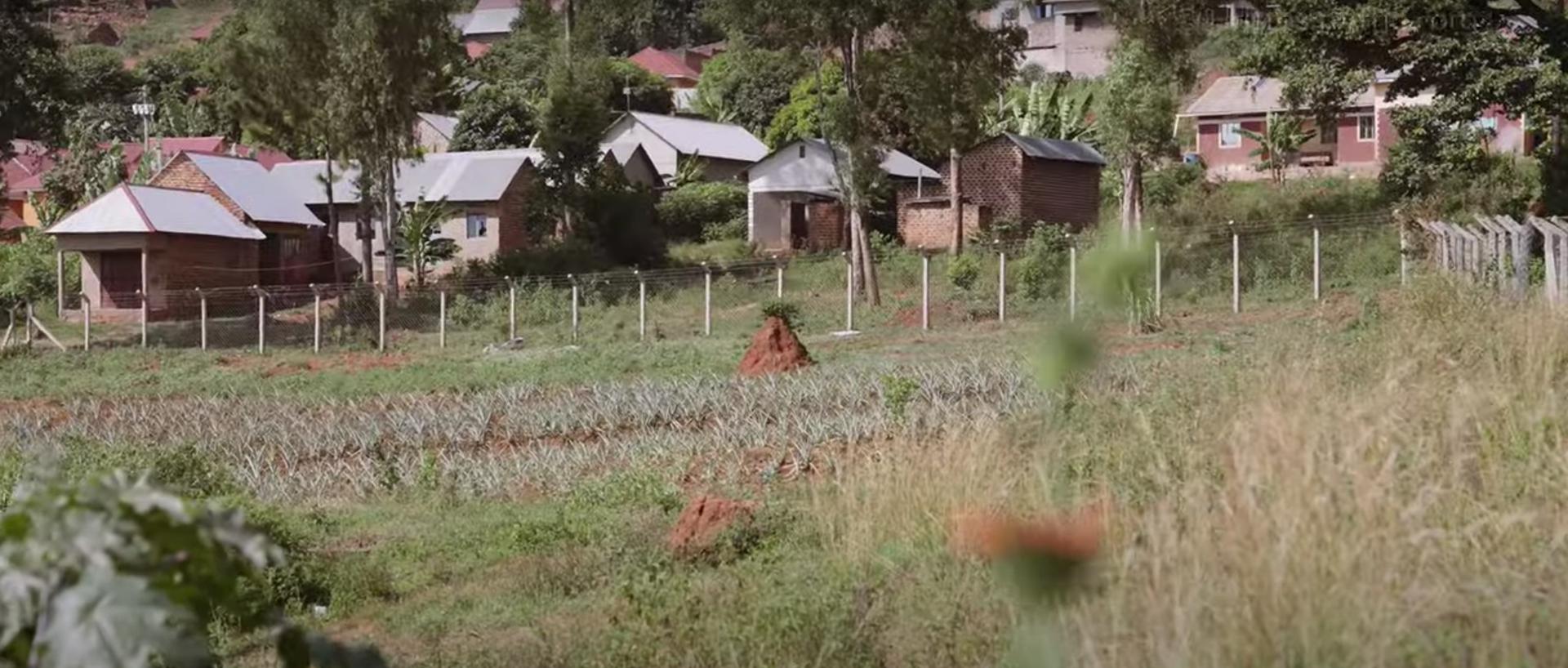Mănăstirea ridicată de Gigi Becali în Uganda seamănă cu un palat, iar în grădină, măicuțele cultivă ananas | VIDEO