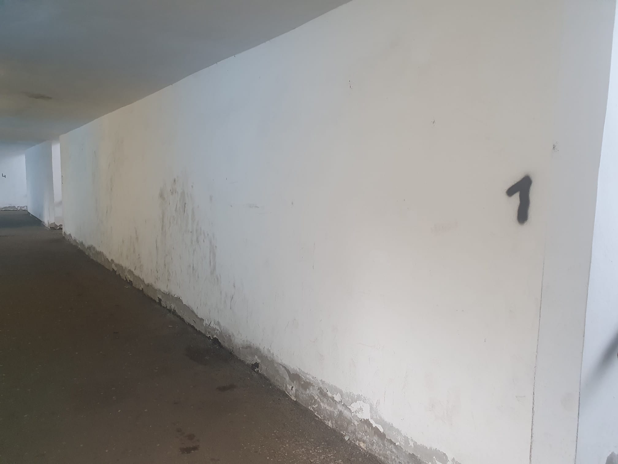 Gara de Vest din Ploiești a ajuns un decor de film horror: gropi, fisuri, mizerie, apă lipsă. Lucrări pentru modernizare de 4 milioane euro, neîncepute