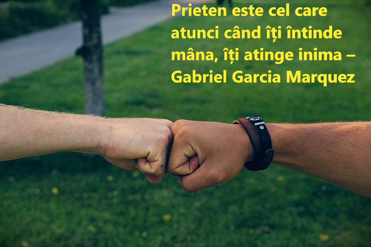 Citate despre prietenie - cele mai frumoase citate despre prietenie adevărată