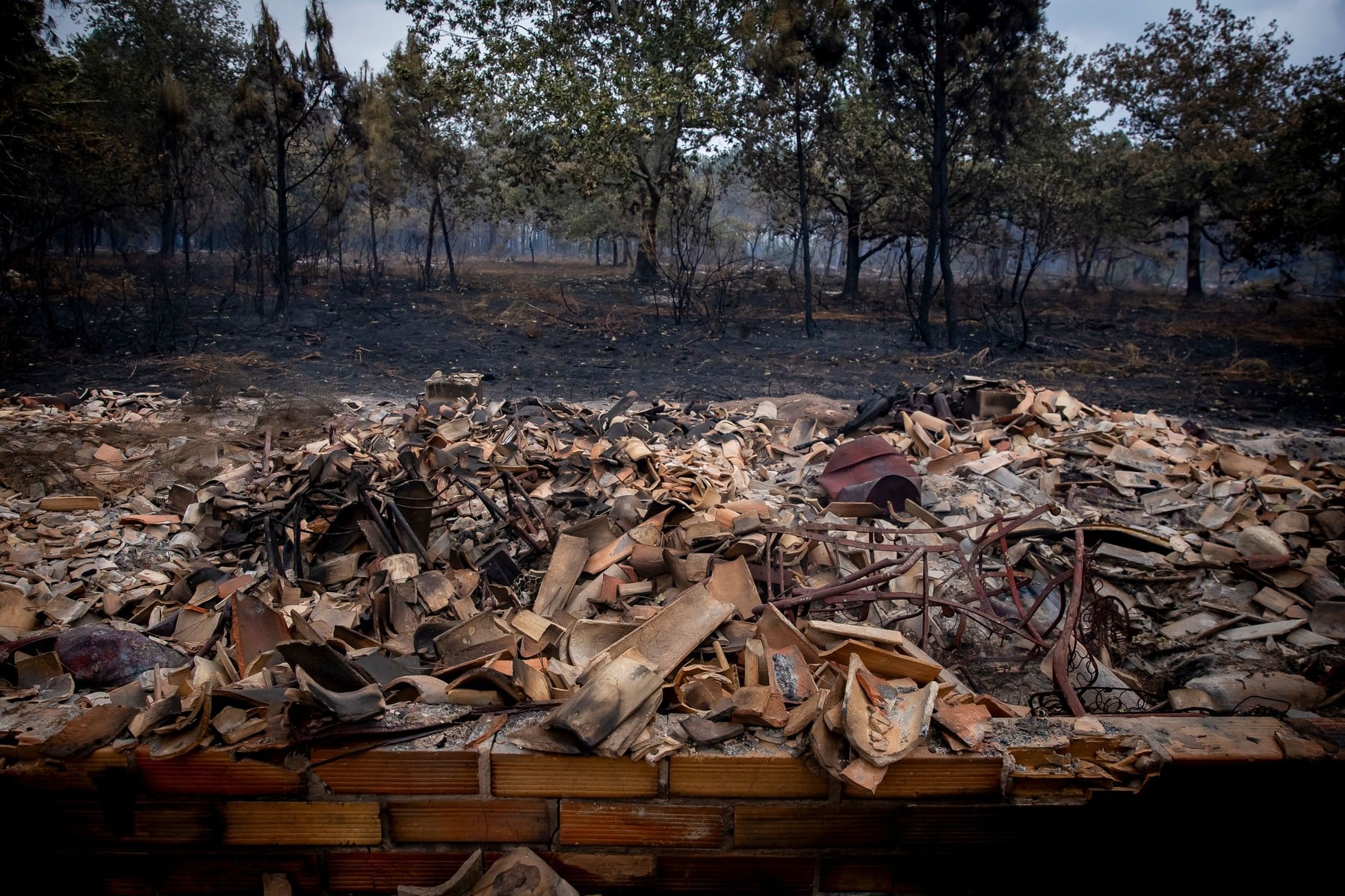 Pompierii români se luptă cu incendiile din Franța. Emmanuel Macron a mulțumit României pentru sprijinul acordat