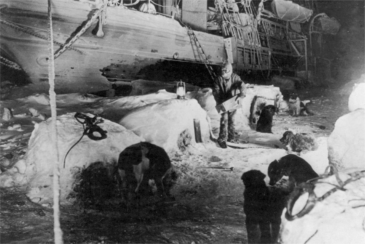 Prima reproducere 3D cu legendara navă „Endurance” a lui Ernest Shackleton. „Este ca și cum s-a scufundat ieri”