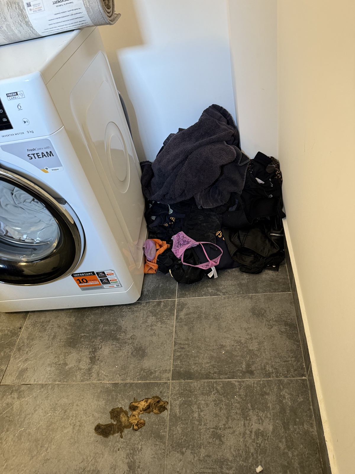 Imagini înainte și după cu apartamentul pe care Calina Dumitrescu l-ar fi distrus. Proprietara rupe tăcerea: „O pune pe mama ei sa se ocupe de mizeria pe care ea o face”