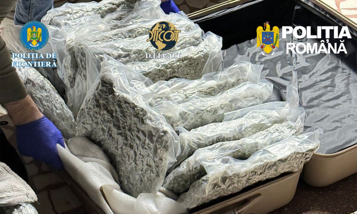 Un italian a venit din Spania până în România cu autocarul. Polițiștii l-au arestat când au văzut ce avea în valize