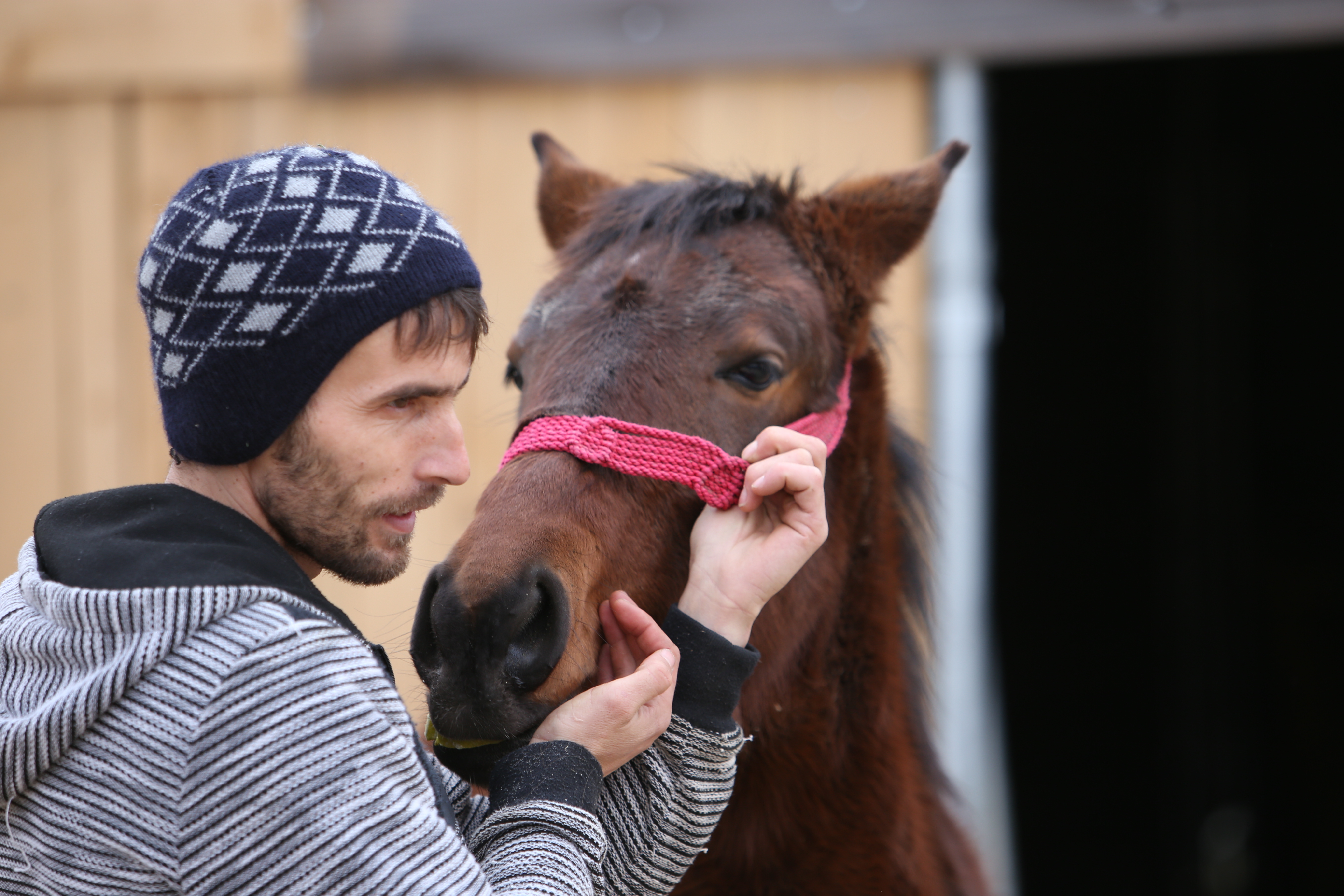 Povestea tristă a lui Papi, un pui de căprioară rănit, a însemnat începutul unui proiect uimitor: Sanctuarul Papi Land, locul unde animalele de fermă abuzate și torturate reînvață să trăiască