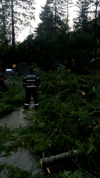 Stațiunea Moneasa din Arad, distrusă de furtună. Prăpăd după vijelie