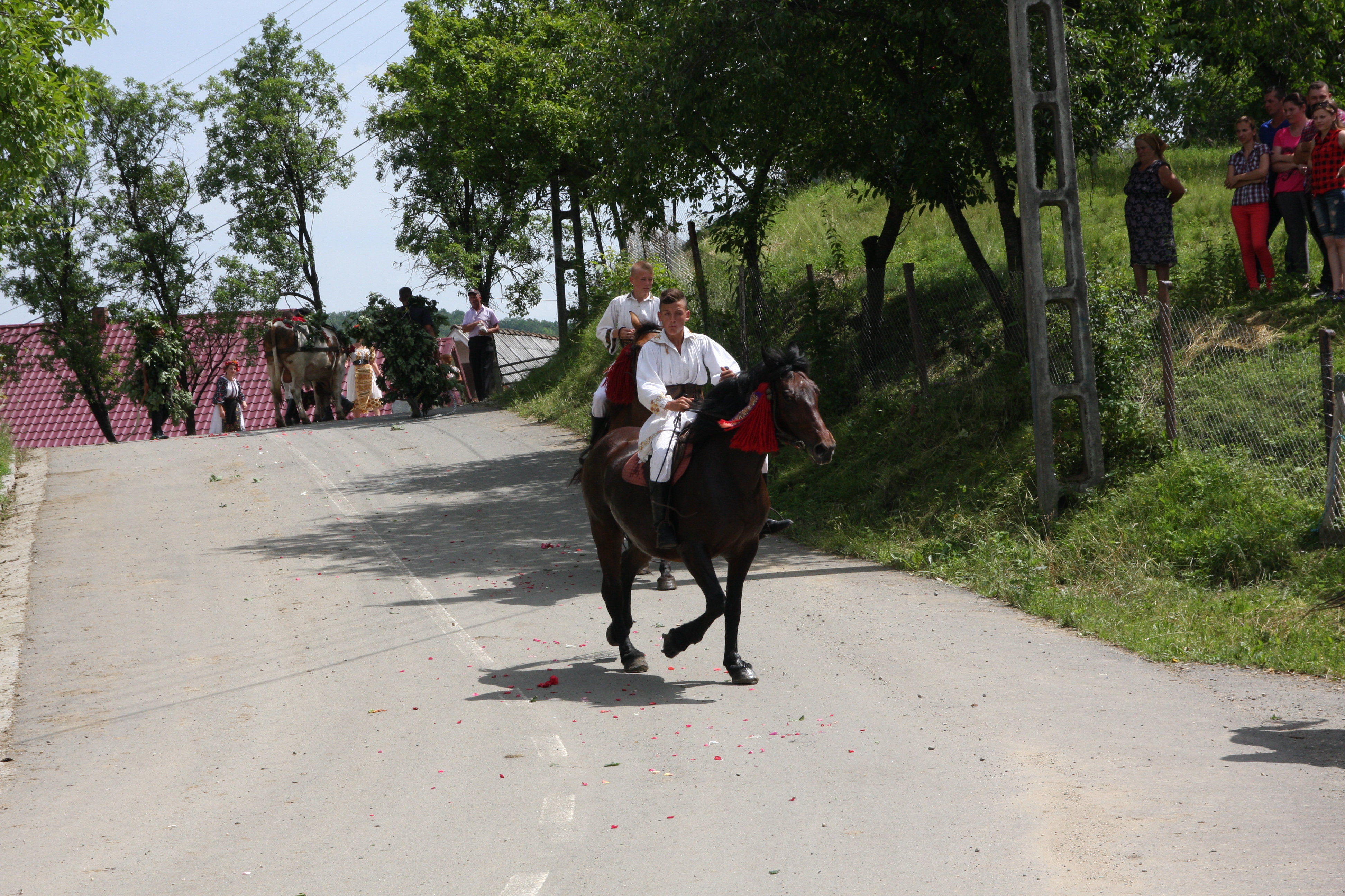 Val de nunţi la Figa după ce fetele au prins boul de Rusalii | GALERIE FOTO