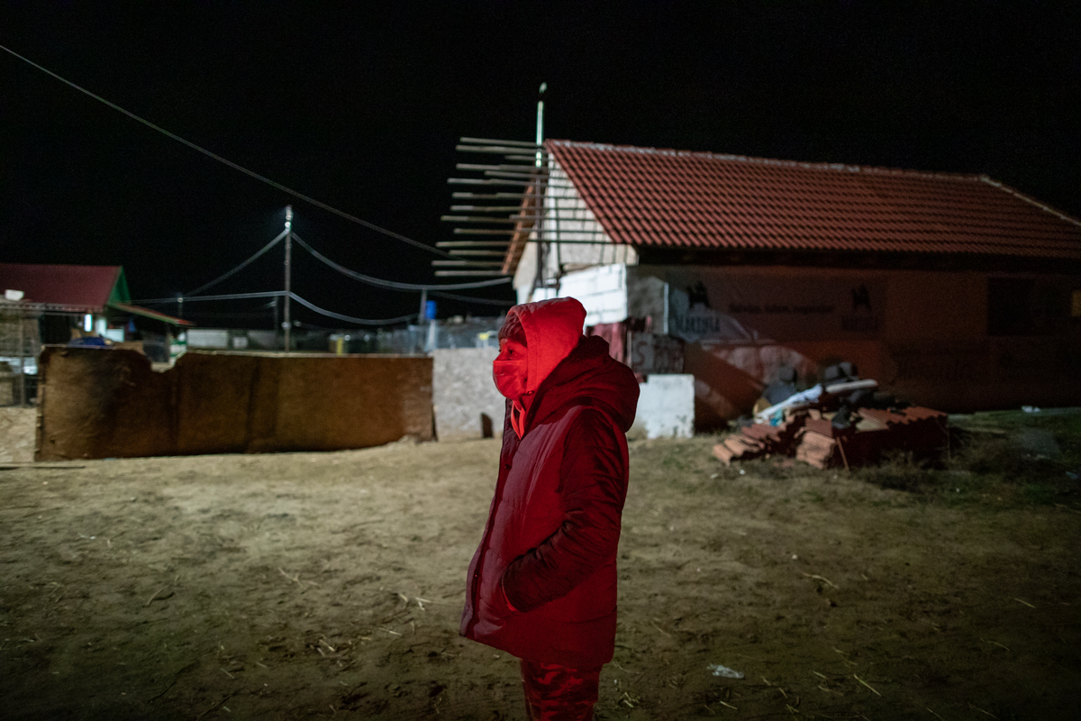 REPORTAJ. În loc de reni, Moș Crăciun a venit anul acesta cu o caravană salvatoare pentru iepe, măgărițe, câini și pisici