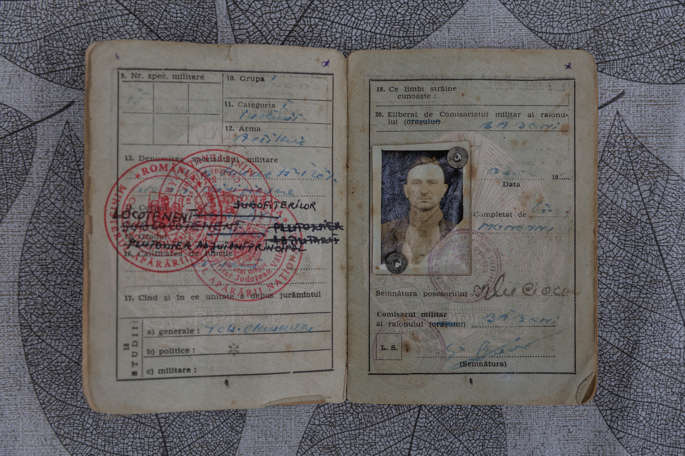 REPORTAJ Viața la 111 ani. Ilie Ciocan, cel mai în vârstă român, trăiește în Galicea, Vâlcea, și e îngrijit cu devotament de nepoții pe care nu i-a iubit: „I-am promis tatei că o să avem grijă de el!” 