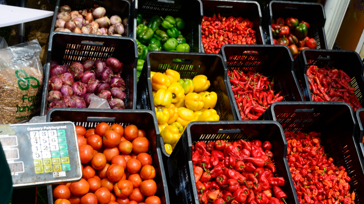 Middle East conflict tightens fertiliser exports as Africa’s food security wavers