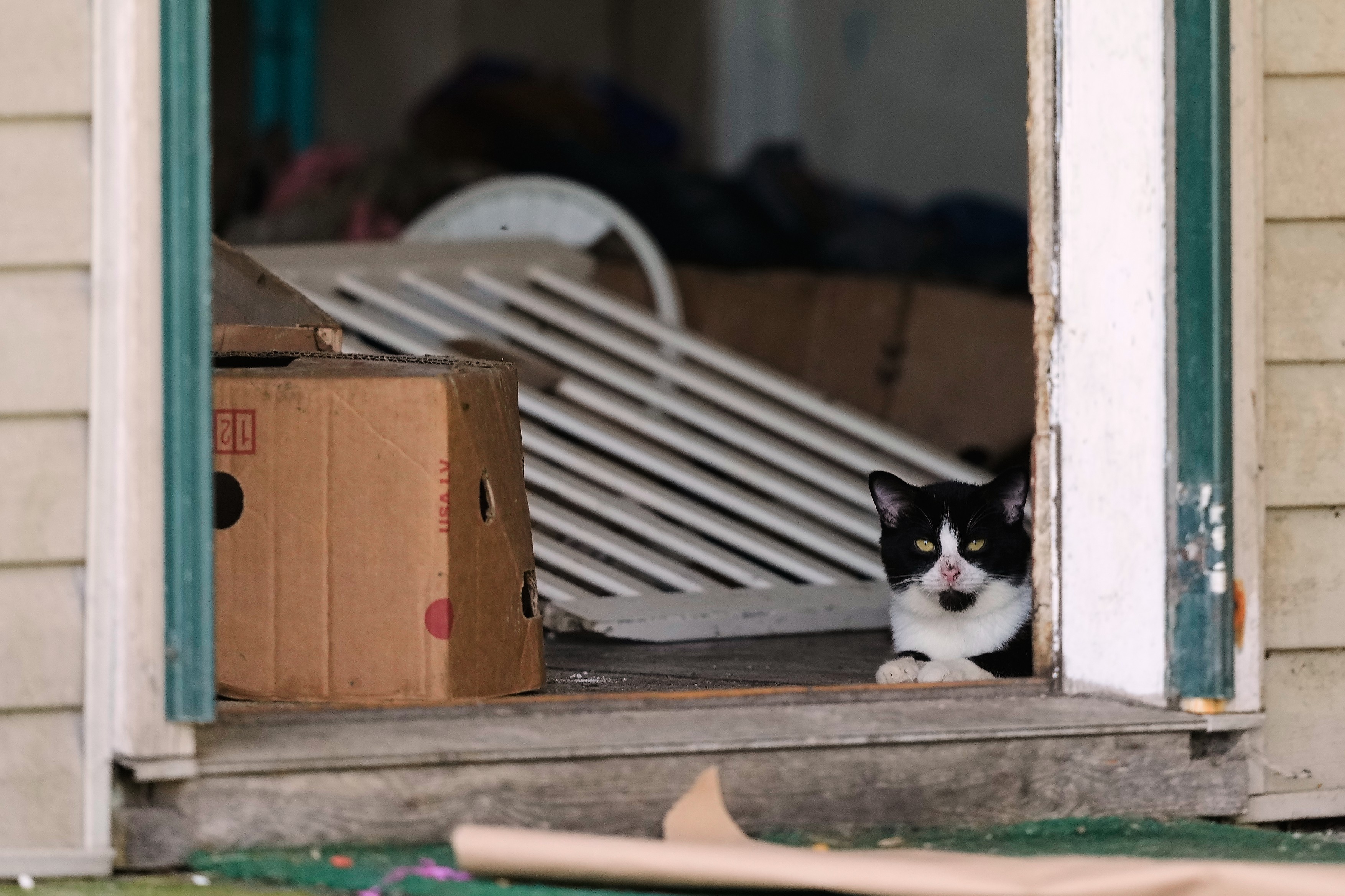 Părinții și bunicii a 16 copii găsiți într-o casă au fost toți arestați: „Animalele noastre de la fermă o duc mai bine”, a spus șeriful care i-a încătușat