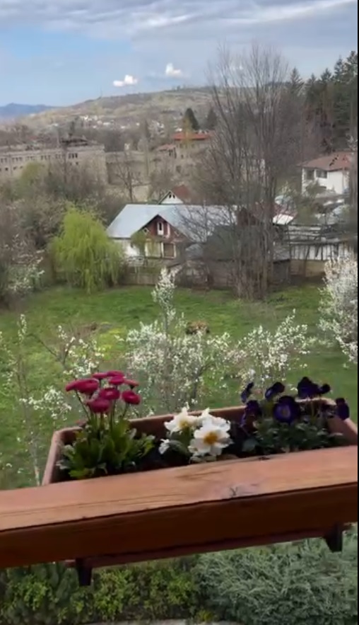 Andreea Marin a făcut plajă în curtea casei sale din Telega, Prahova. Cum a apărut în costum de baie: „Aici îmi regăsesc echilibrul”