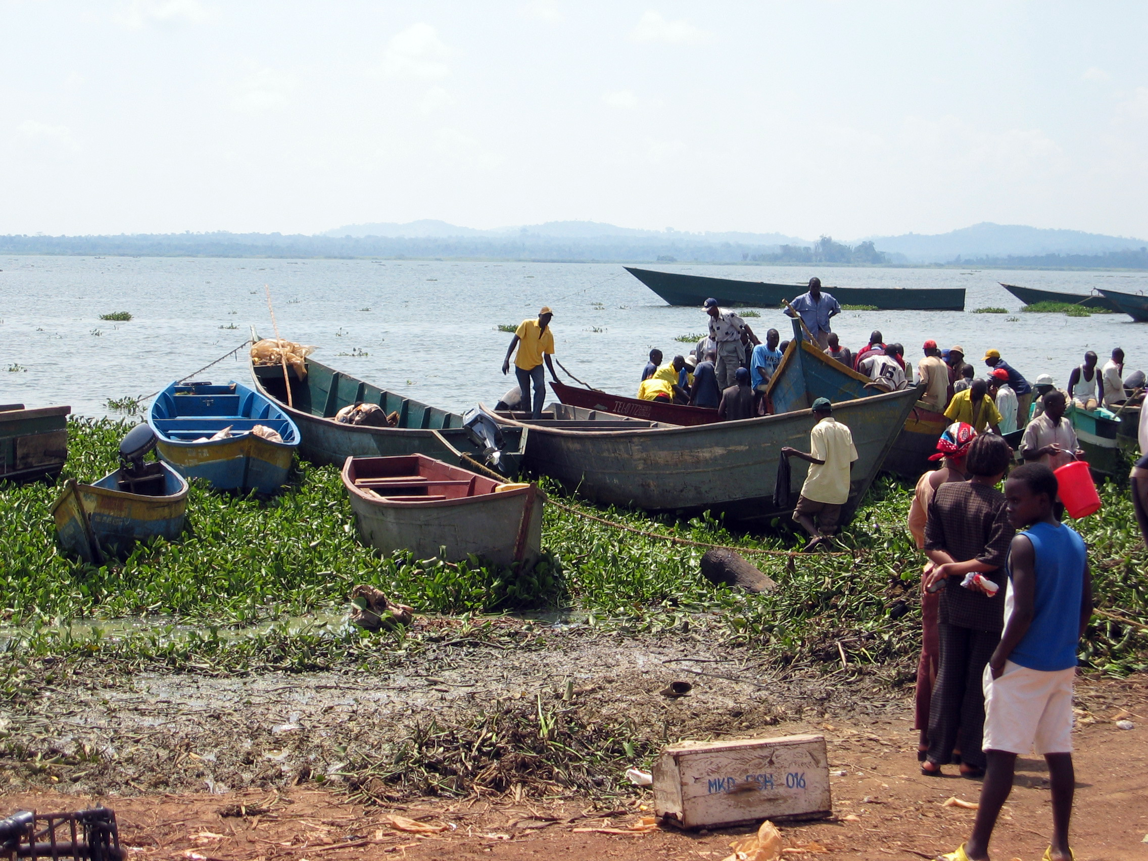 World Bank approves $240m for coastal protection and blue-economy jobs in West Africa