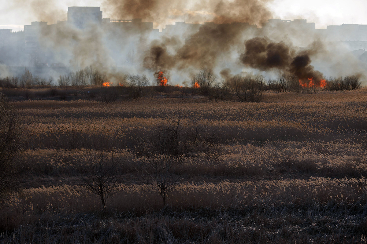 Incendiu puternic în Delta Văcărești. ISU București: Focul a fost provocat