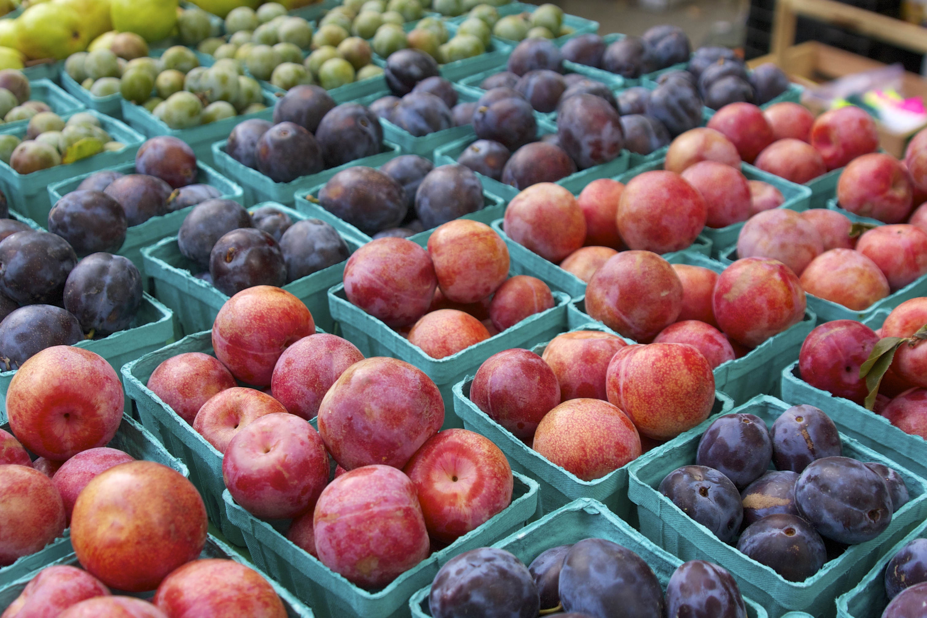 South Africa breaks into China’s $200bn fruit market with first major shipment