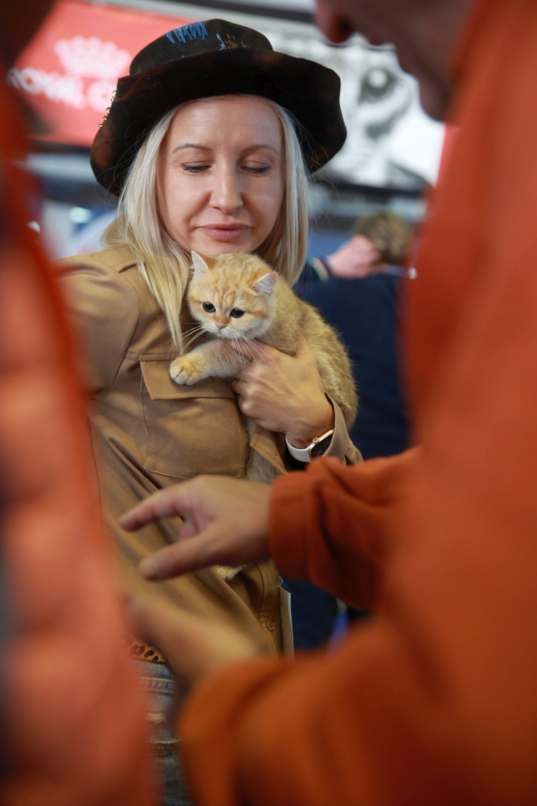 Libertatea a mers la Campionatul Mondial Felin. Bucureștiul, capitala mondială a pisicilor: peste 750 de feline din întreaga lume au strălucit la Romexpo