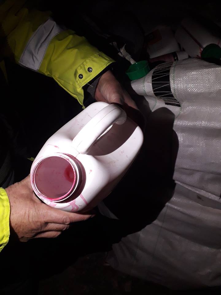 Animale otrăvite pe câmp de substanțele toxice folosite de o firmă care cultiva rapiță în Timiș