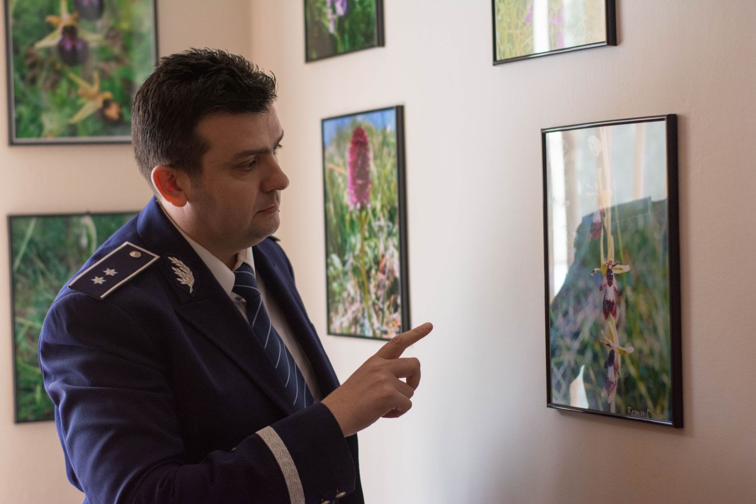 REPORTAJ/Un comisar de la Investigații Criminale e îndrăgostit de orhidee, iar pasiunea lui e cam...derutantă pentru infractori: ”Mi-a zis unul că, dacă tot am așa suflet bun, să nu-l bag la pușcarie!”