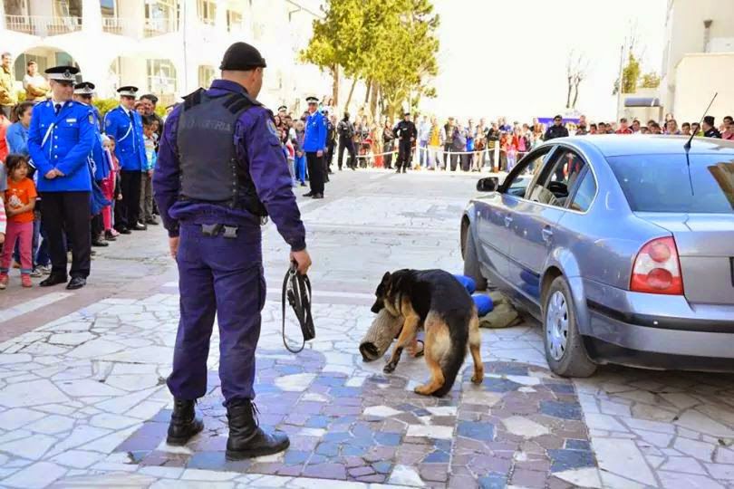 REPORTAJ/ Jandarmul Marius și câinele Mabanu, o prietenie mai presus de meserie. Deși a fost pensionat, ciobănescul german rămane cu plutonierul major/ (Foto&Video)