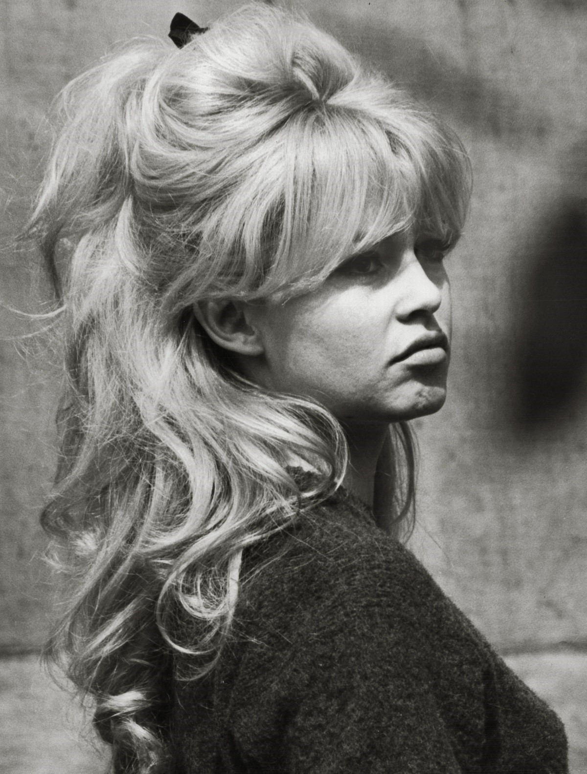 Secretul pe care Brigitte Bardot i l-a dezvăluit actriței Carmen Tănase: „M-a făcut să nu mai mănânc carne șapte ani”. Detalii inedite despre întâlnirea celor două actrițe