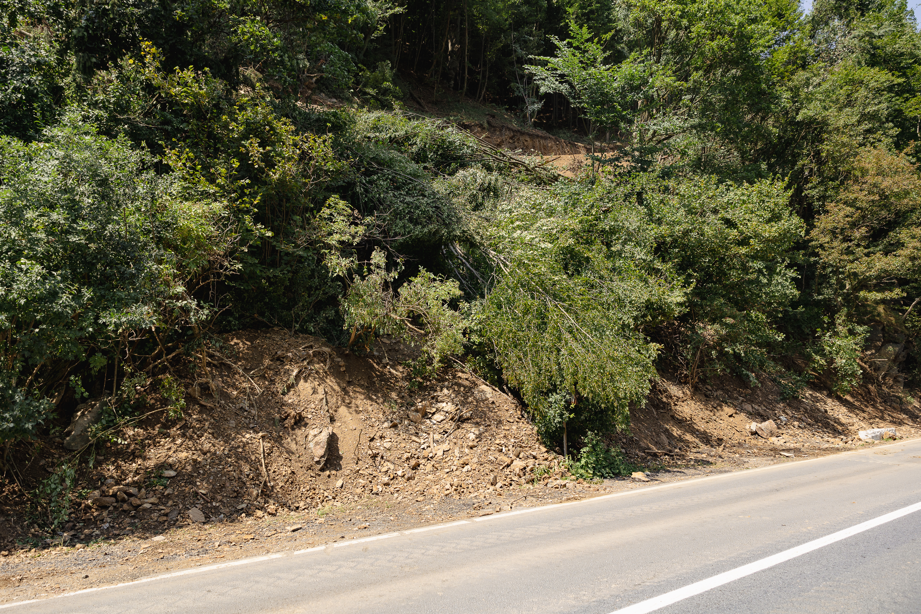 REPORTAJ Valea Oltului - viața după barieră. În lipsa traficului, natura își revine și nu prea, iar ministrul Grindeanu supraveghează cu drona progresul lucrărilor
