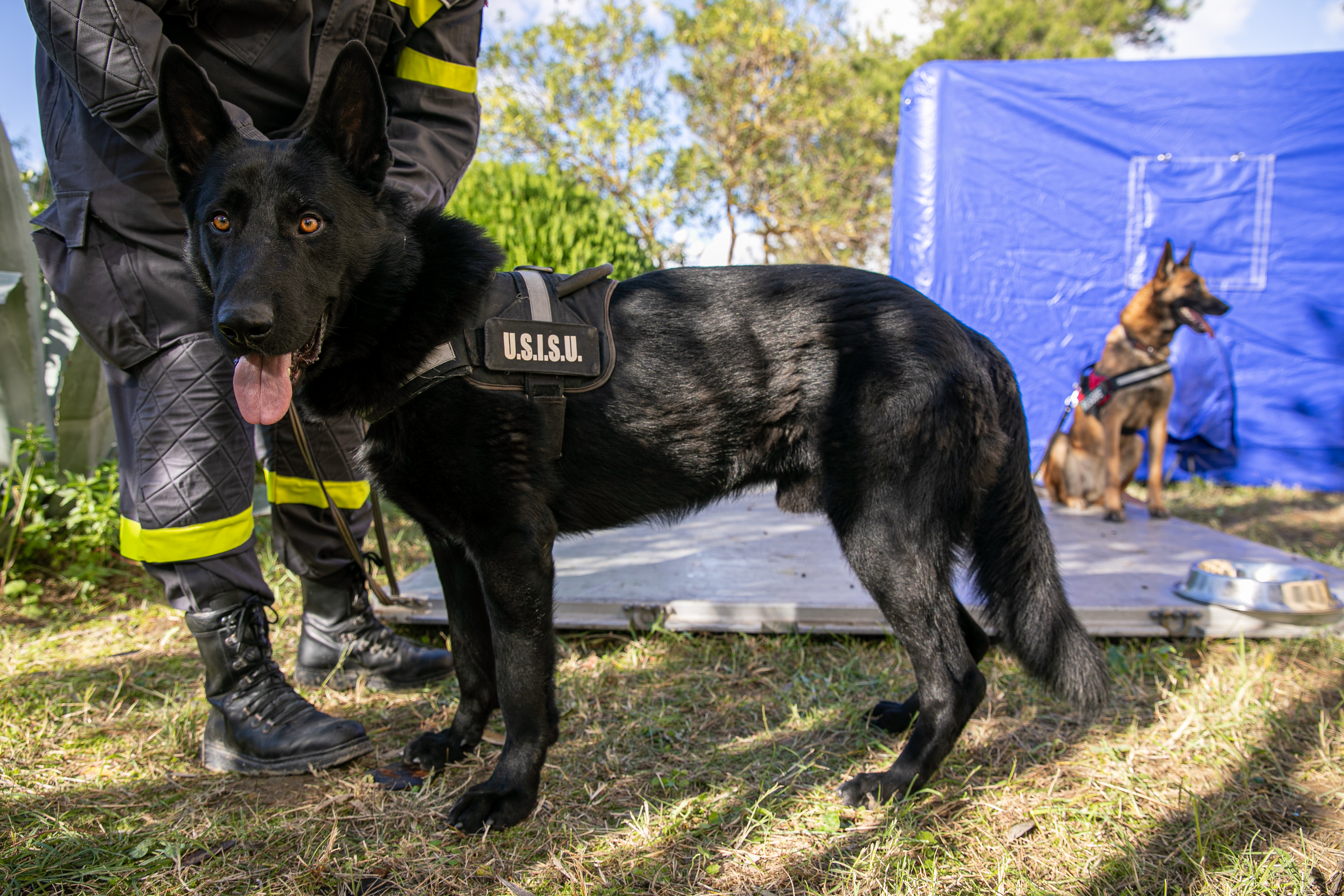 Pentru pompierii români din inima dramei albaneze, Ziua Națională a picat de Ziua Recunoștinței. ”Cele două cadavre erau, de fapt, mama și fiul. Tatăl și fiica au scăpat!”