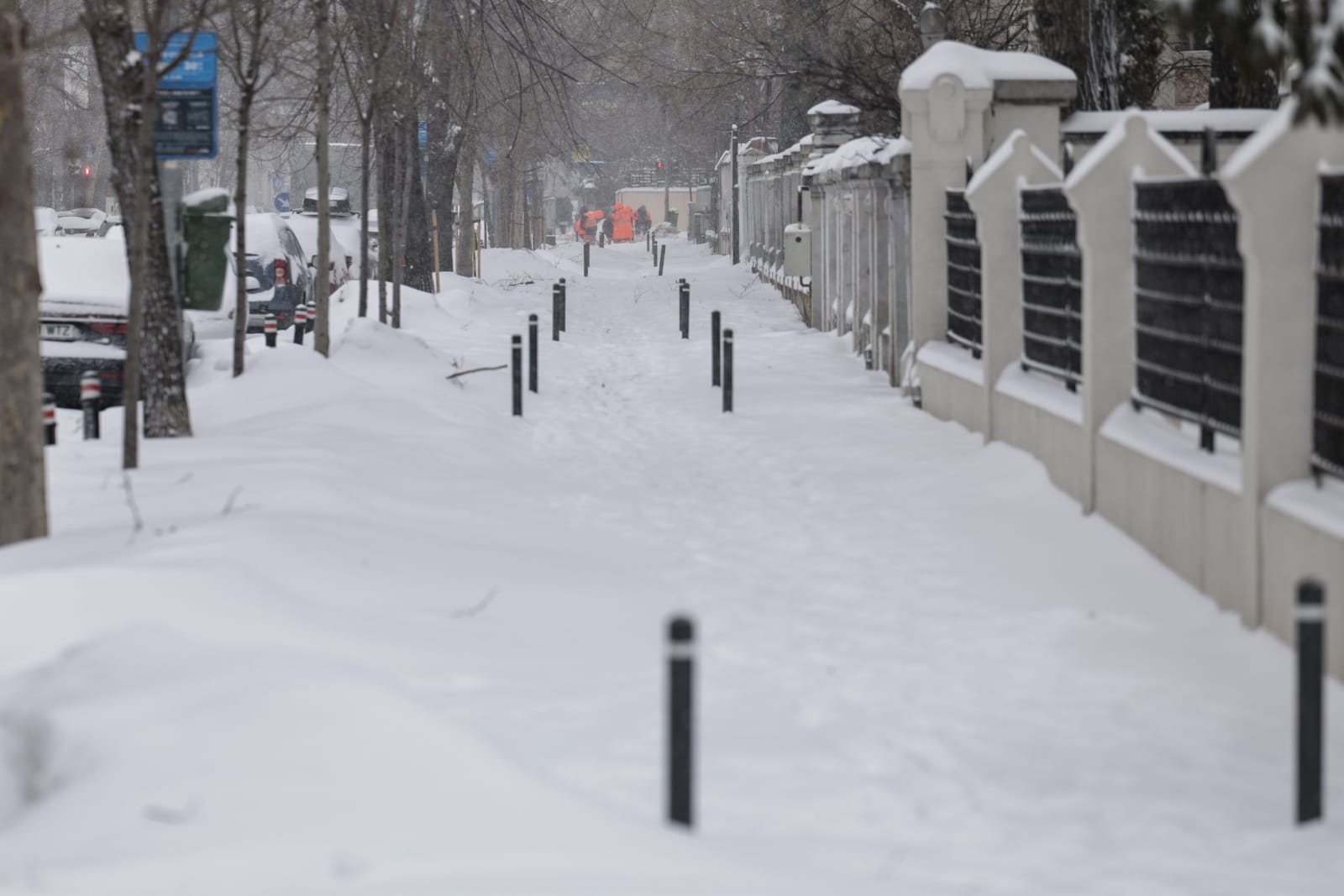 Codul galben de ninsori și viscol a făcut prăpăd în mai multe județe: copaci rupți și mașini distruse în București, drumuri închise sau restricționate în 16 județe | VIDEO