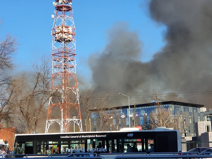 Incendiu puternic în Delta Văcărești. ISU București: Focul a fost provocat