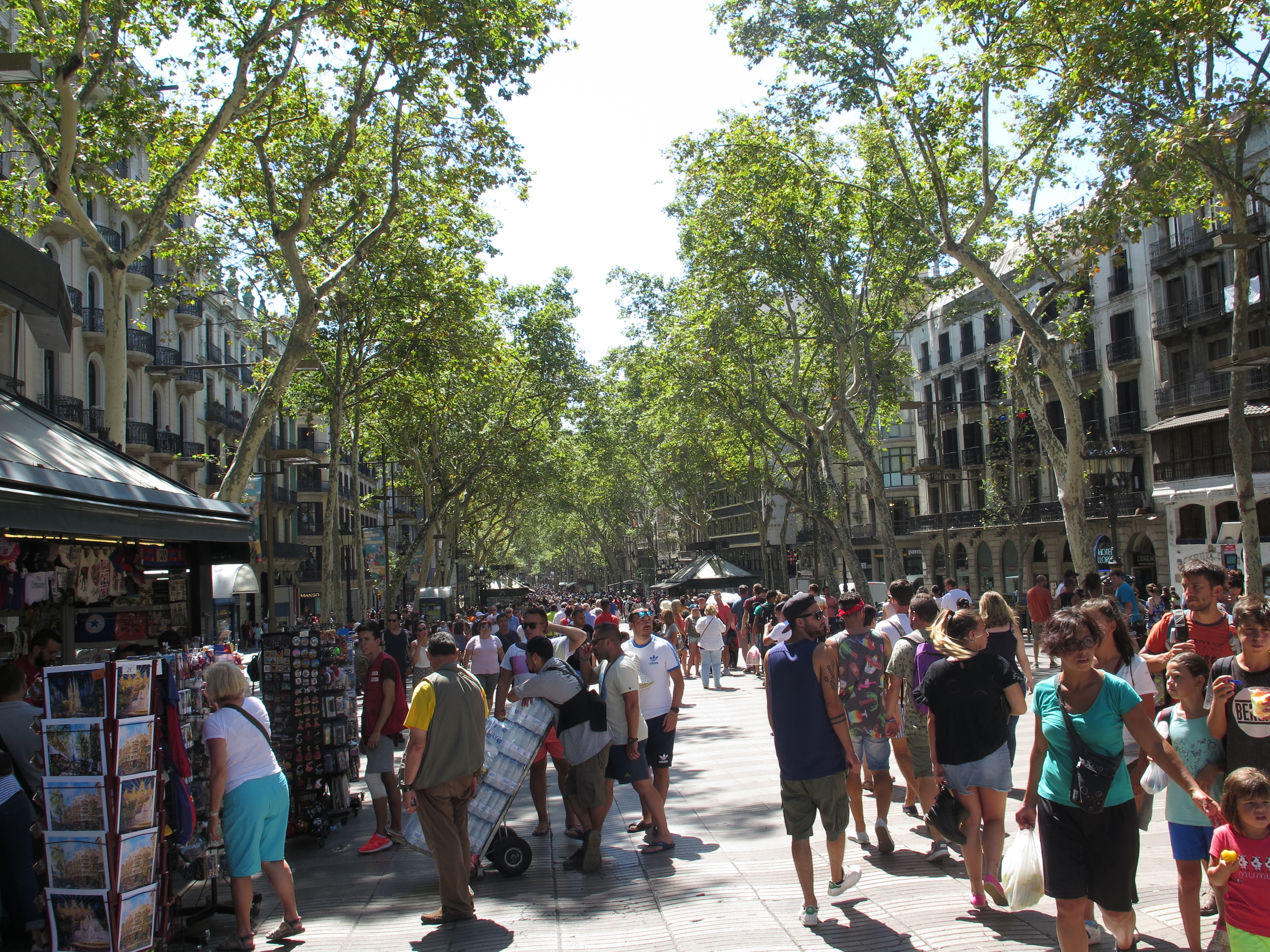 Teroare în Barcelona | Autorul atacului este în continuare căutat de polițiști. Bilanțul atentatului: 14 morți și 130 de răniți
