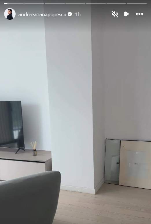 Noi imagini din penthouse-ul Andreei Popescu