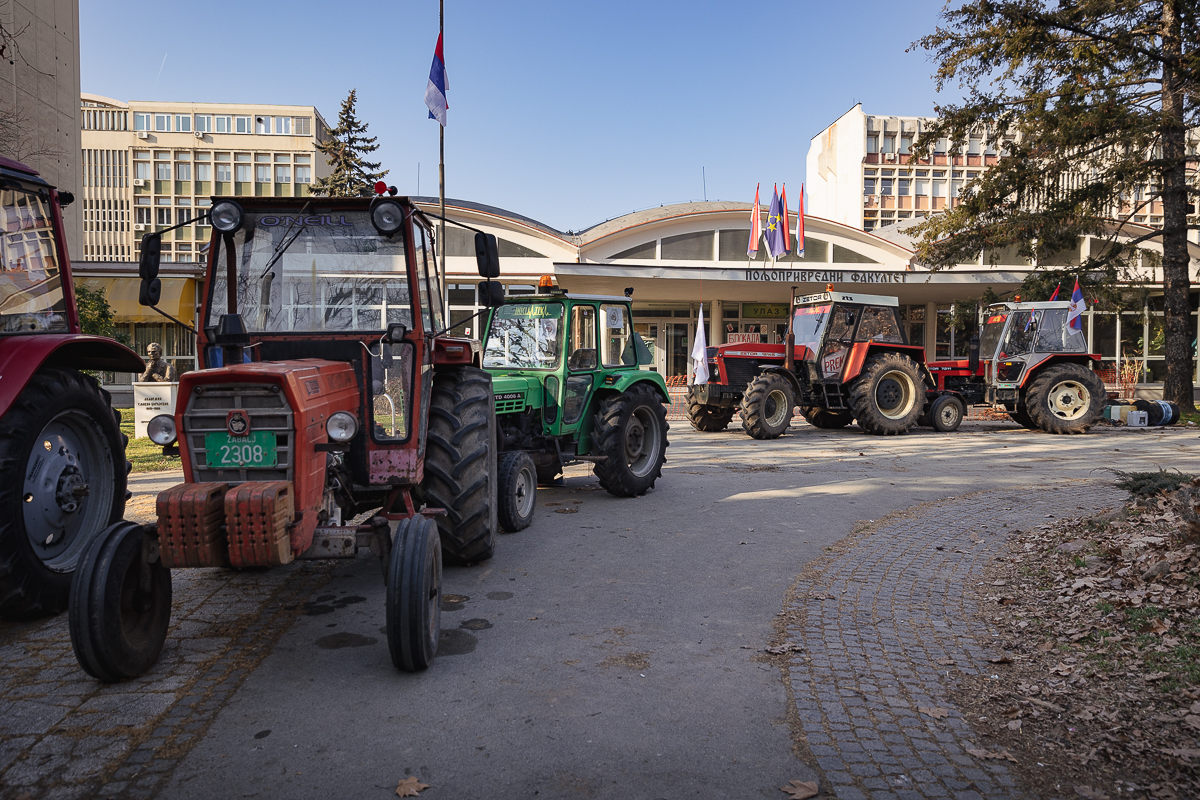 Culisele protestelor studențești care zguduie Serbia: „Sexul e mișto, dar ai încercat să i-o tragi sistemului?”
