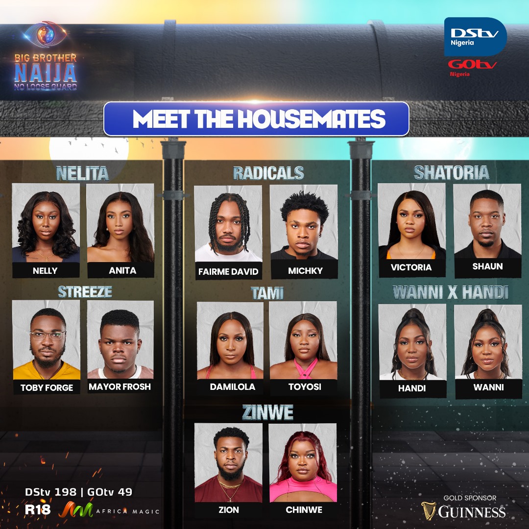 Meet the housemates in this 'BBNaija: No Lose Guard' season