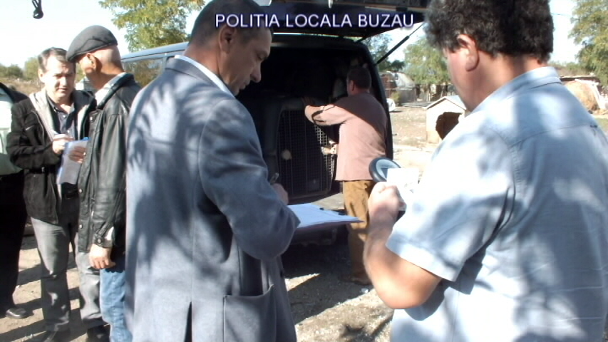 Încă o fermă ilegală de păsări și animale a fost descoperită la Buzău de polițiștii locali| GALERIE FOTO