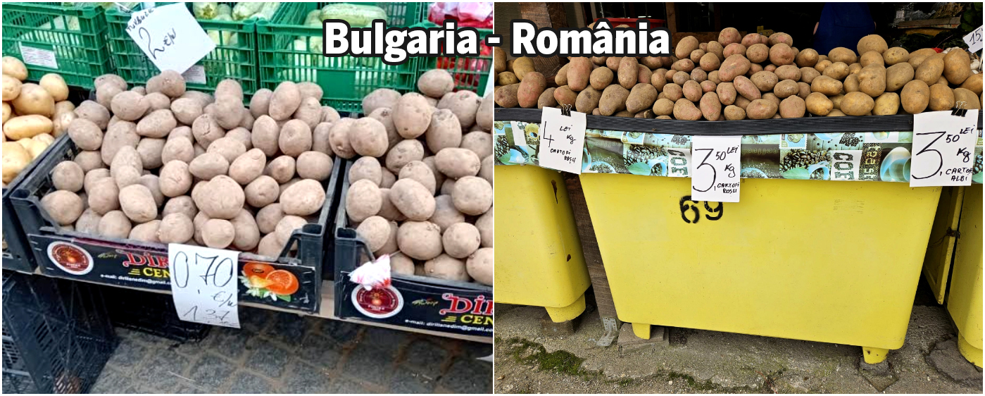 Experiment Libertatea. Preţurile la alimente în Bulgaria faţă de România: şi castraveţii aduşi din Grecia sunt mai scumpi la vecini