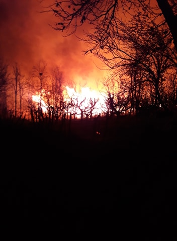 VIDEO Incendiu de vegetație în apropierea caselor din Fierbinți. Au ars 350 hectare de stuf și iarbă uscată: “Ne-am panicat, flăcările erau uriașe”