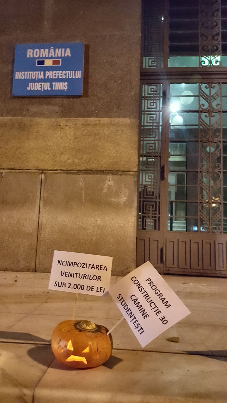 Mesajele tinerilor din PNL Timiș pentru Guvernul PSD, puse în dovleci de Halloween: Nerealizările își bântuie propriii conducători| GALERIE FOTO