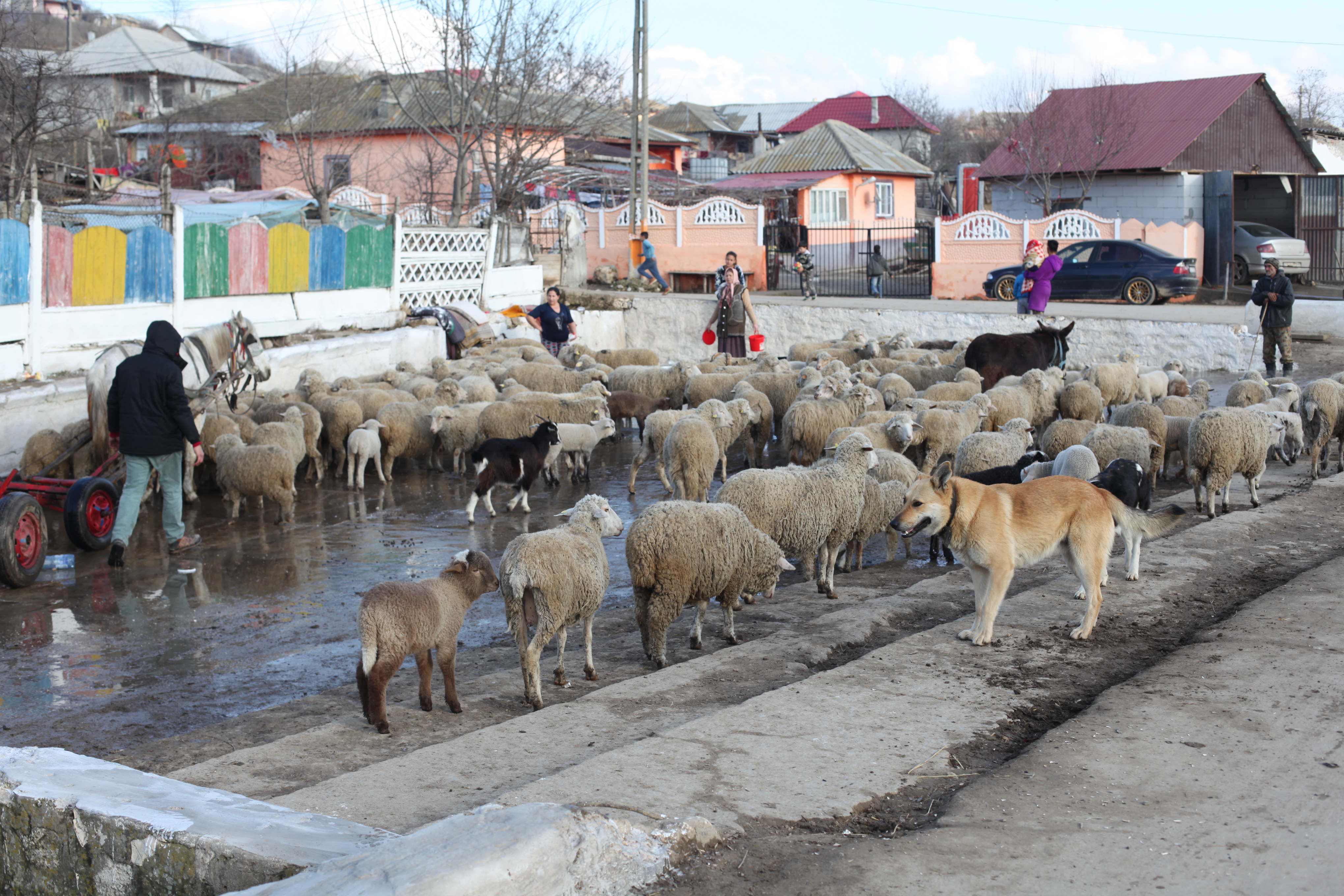 Localitatea din România unde aproape toți cei 3.000 de oameni primesc bani publici